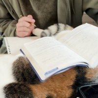 猫の体の上へ教科書を乗せる男の子