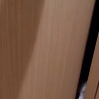 ドアが少し開き猫の鼻が見える