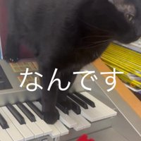「なんです」と書かれた写真
