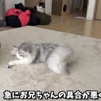 体調不良が発覚