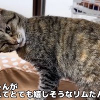 存分に甘えるリムちゃん