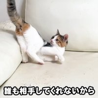 テロップ「誰も相手をしてくれないから」