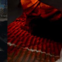 こたつに入っている猫