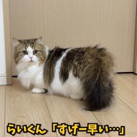 すげー早い…