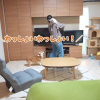 わっしょいわっしょい！