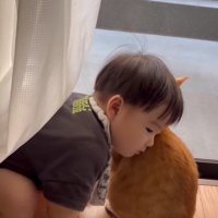 猫に頬をつける赤ちゃん