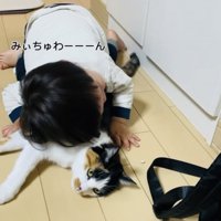 保護猫に顔を埋める男の子