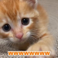 お顔のドアップ