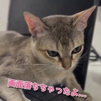 「画面落ちちゃったよ」と書かれた写真