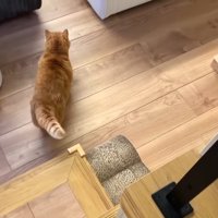 歩いて行く後ろ姿