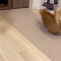 逃走する後ろ姿