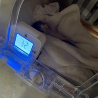 機械に入る赤ちゃん猫