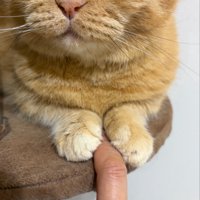 手を握るウニちゃん