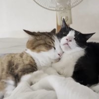 密着するふたり