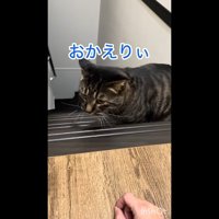 おかえりぃ