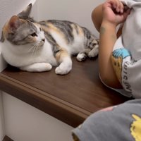 男の子の話を聞く猫