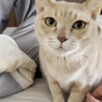 こちらを見る姿