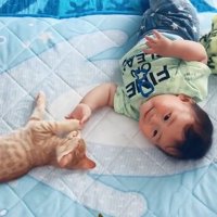 向かって左を見ながら猫と手を握り合う赤ちゃん