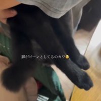 抱っこをされて脱力した黒猫の足