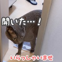 桶のそばへやってきたハムちゃん