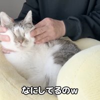 なにしてるの
