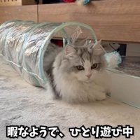 一人遊び満喫