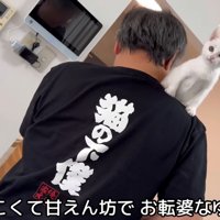 テロップ「人懐っこくて～」