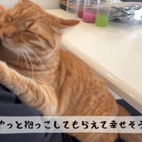 抱っこ