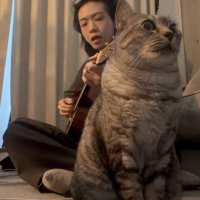 男性の手前で演奏を聴く猫3