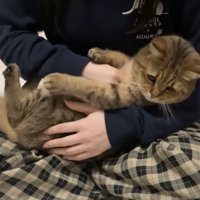 捕獲されたみにらくん