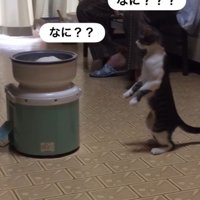 「なに？」と三回書かれた写真