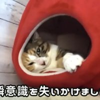 「一瞬意識を...」のテロップ写真