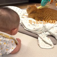 そっとしといてにゃ…