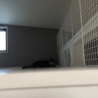 奥からこちらを見て