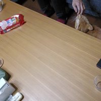 差し出された手の匂いを嗅ぐ猫