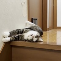 階段の上