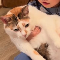 虚無顔の猫2
