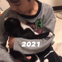 猫を抱っこしている男の子