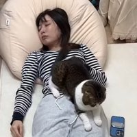 眠っているママの上でくつろいでいる猫