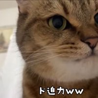 ド迫力みにら君
