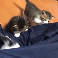 潜り込み