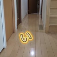 ドアが半開きになっている廊下の奥の部屋