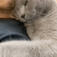 片目を閉じた顔と腕のアップ