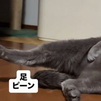 「足ピーン」と書かれた写真