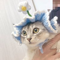 飼い主に抱っこされる、帽子を被った猫