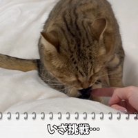 いざ挑戦