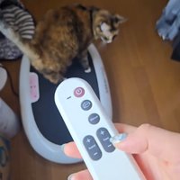 ダイエットマシンの電源をつける飼い主