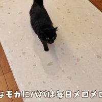 テロップ「そんなモカに～」