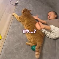 赤ちゃんと一緒に寝ている猫