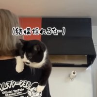 結構揺れるな…